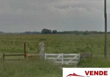 Venta Campo 77 Hect Ruta 2 Km90a 600mtrs Peaje Samborombon